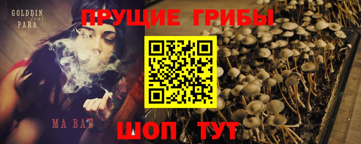 где продают наркотики  Галлюциногенные грибы Cubensis  Вход с VPN  Великий Новгород 